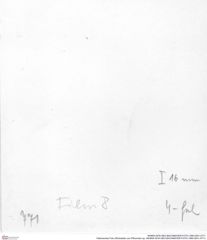 Historisches Foto (Rückseite) von Pithonoton sp. (NHMW-AFW-GEO-BACHMAYER-FOTO-1990-0041-0771)